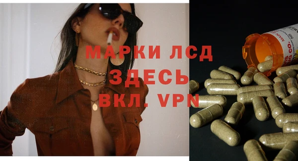 спайс Магас