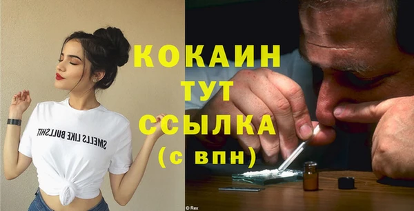 молекула духа Медвежьегорск