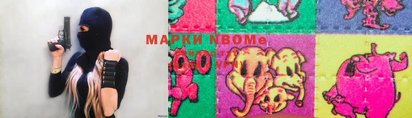 apvp Аксай