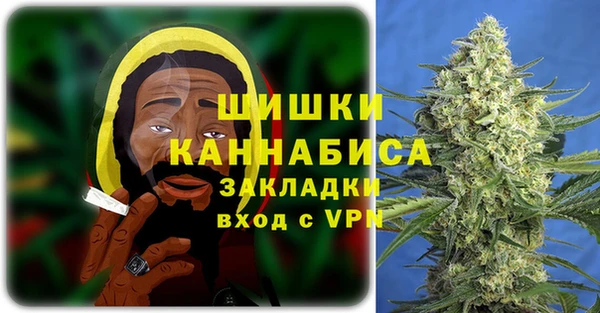 apvp Алагир