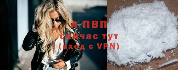 молекула духа Медвежьегорск