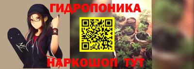 гидропоника Партизанск