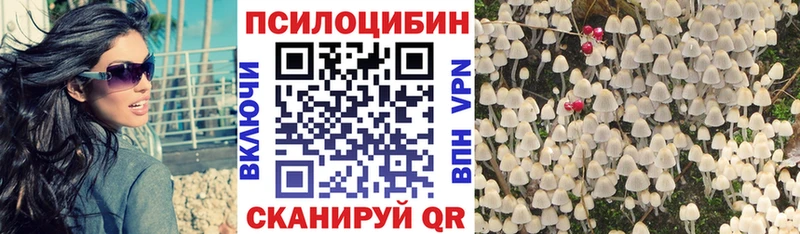Галлюциногенные грибы Psilocybe  Черемхово 