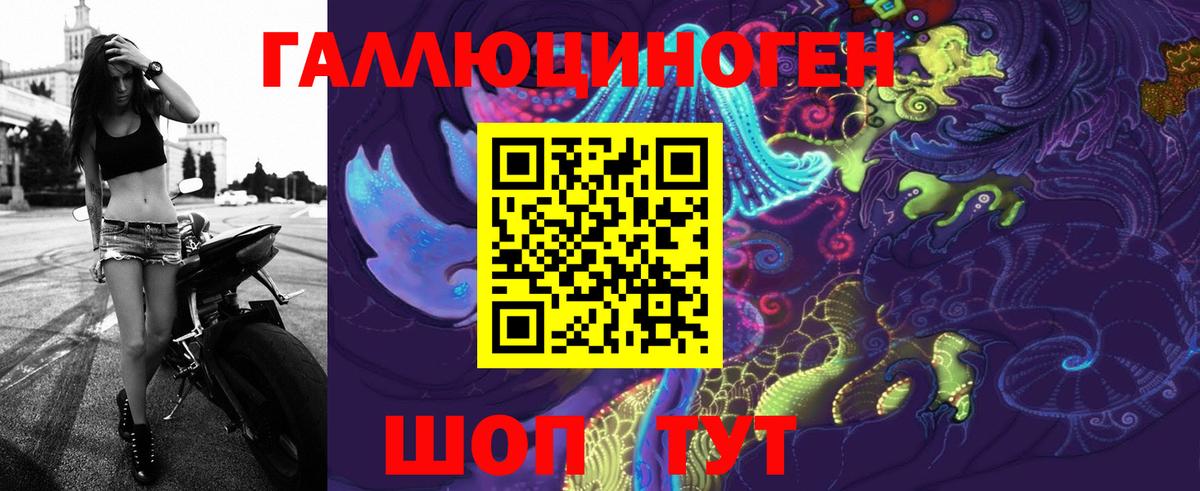 Псилоцибиновые грибы Cubensis Черемхово