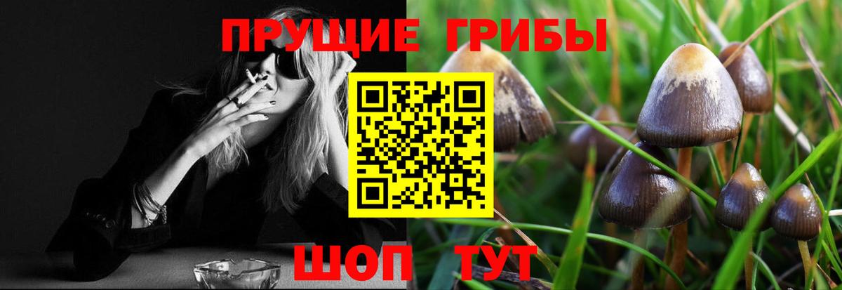 Псилоцибиновые грибы MAGIC MUSHROOMS  Галлюциногенные грибы Psilocybine cubensis  Черемхово  Вход с VPN 